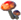 BotW-Hyliapilz :hylia-mushroom: